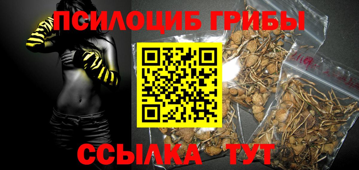 Псилоцибиновые грибы ЛСД Керчь